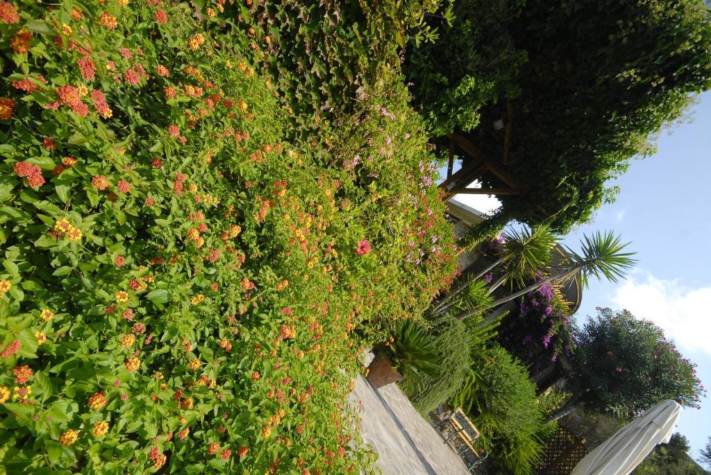 Hotel Danila Portoferraio Exterior foto